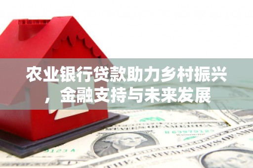 灌云农业银行贷款助力乡村振兴，金融支持与未来发展