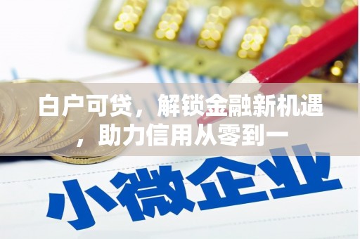 灌云白户可贷，解锁金融新机遇，助力信用从零到一