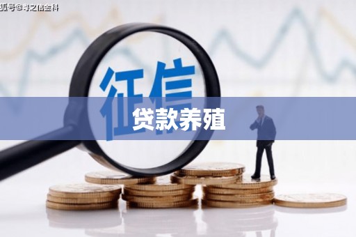 灌云贷款养殖