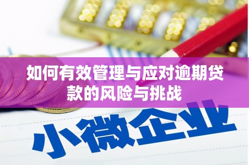 灌云如何有效管理与应对逾期贷款的风险与挑战