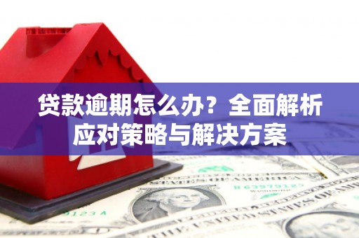 灌云贷款逾期怎么办？全面解析应对策略与解决方案