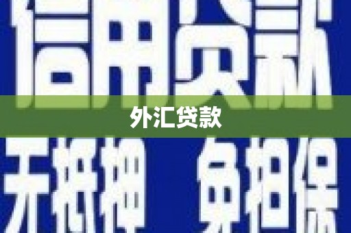 灌云外汇贷款