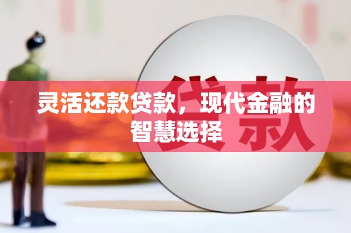 灌云灵活还款贷款，现代金融的智慧选择