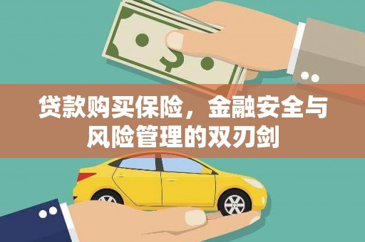 灌云贷款购买保险，金融安全与风险管理的双刃剑