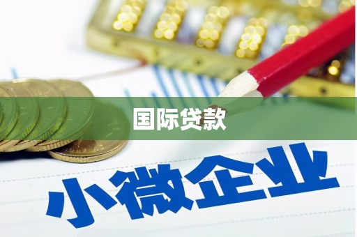 灌云国际贷款