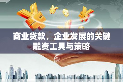 灌云商业贷款，企业发展的关键融资工具与策略