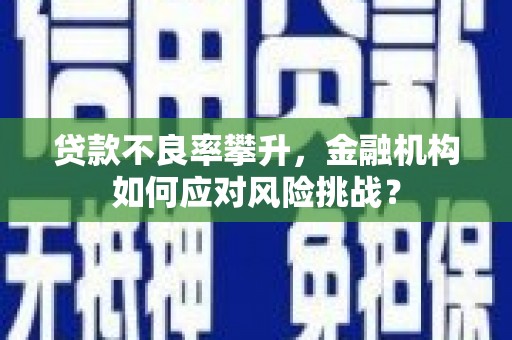 灌云贷款不良率攀升，金融机构如何应对风险挑战？
