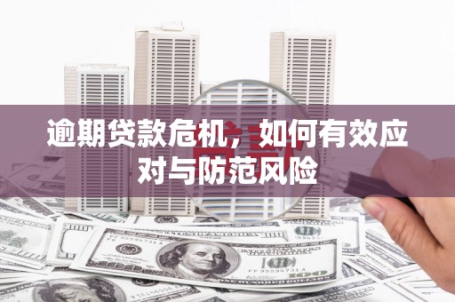 灌云逾期贷款危机，如何有效应对与防范风险