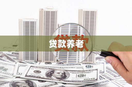 灌云贷款养老