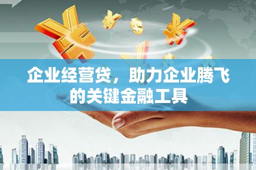 灌云企业经营贷，助力企业腾飞的关键金融工具