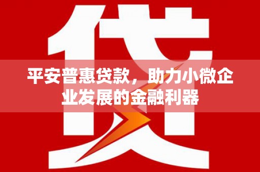 灌云平安普惠贷款，助力小微企业发展的金融利器