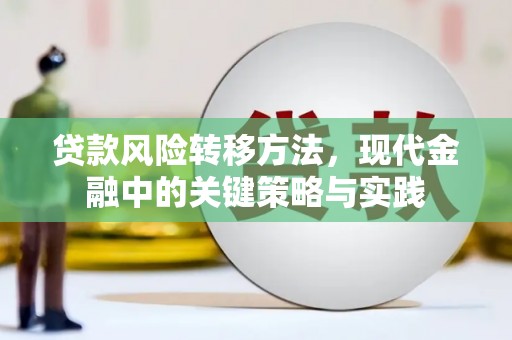 灌云贷款风险转移方法，现代金融中的关键策略与实践
