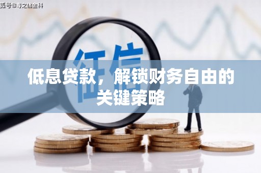 灌云低息贷款，解锁财务自由的关键策略