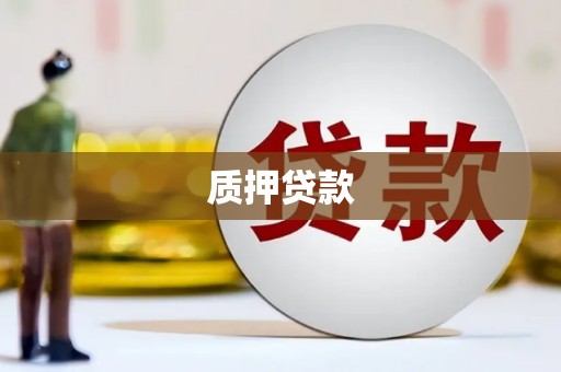 灌云质押贷款