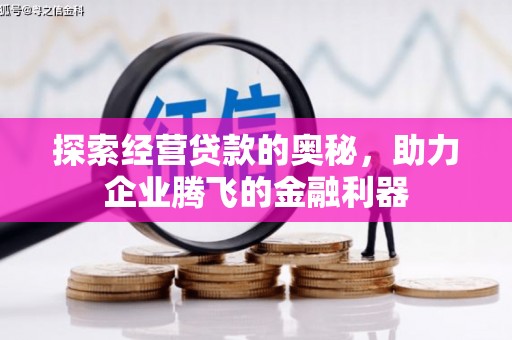 灌云探索经营贷款的奥秘，助力企业腾飞的金融利器