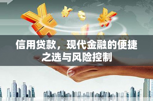 灌云信用贷款，现代金融的便捷之选与风险控制