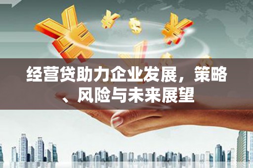 灌云经营贷助力企业发展，策略、风险与未来展望