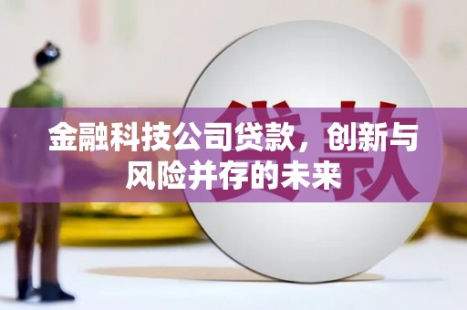 灌云金融科技公司贷款，创新与风险并存的未来
