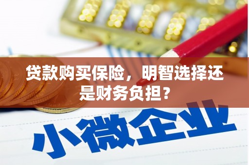 灌云贷款购买保险，明智选择还是财务负担？