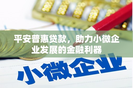 灌云平安普惠贷款，助力小微企业发展的金融利器