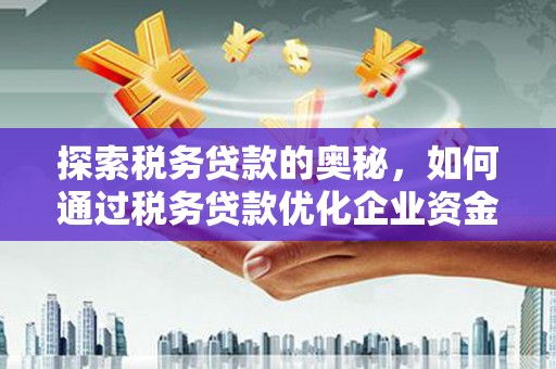 灌云探索税务贷款的奥秘，如何通过税务贷款优化企业资金流