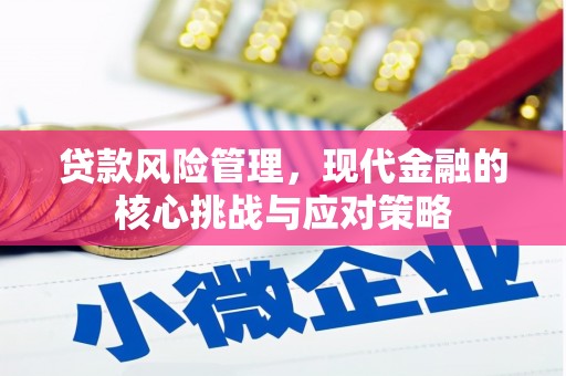 灌云贷款风险管理，现代金融的核心挑战与应对策略
