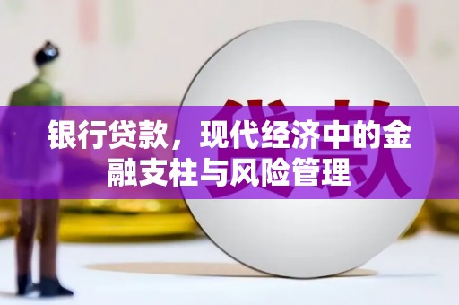 灌云银行贷款，现代经济中的金融支柱与风险管理