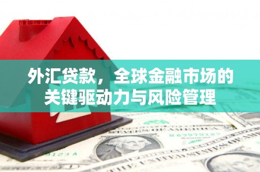 灌云外汇贷款，全球金融市场的关键驱动力与风险管理