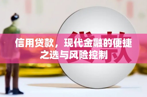 灌云信用贷款，现代金融的便捷之选与风险控制