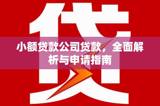 灌云小额贷款公司贷款，全面解析与申请指南