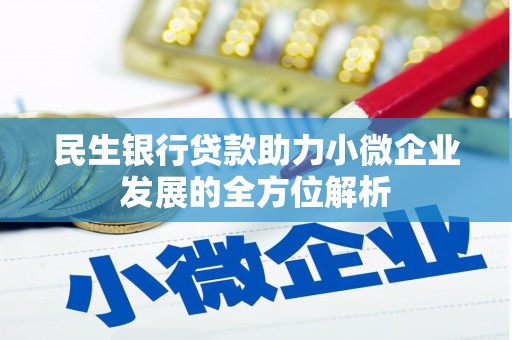 灌云民生银行贷款助力小微企业发展的全方位解析
