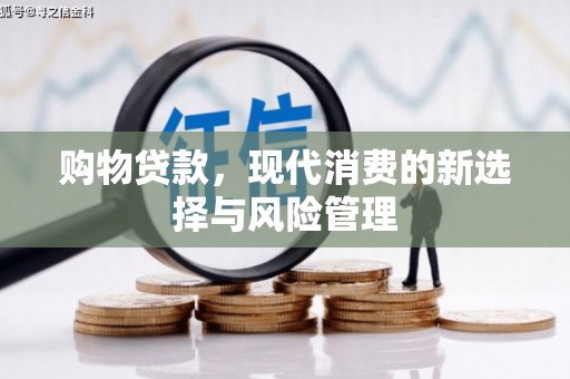 灌云购物贷款，现代消费的新选择与风险管理