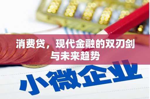 灌云消费贷，现代金融的双刃剑与未来趋势