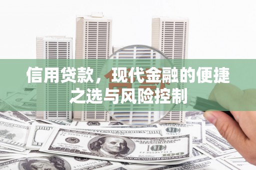 灌云信用贷款，现代金融的便捷之选与风险控制