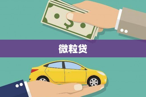 灌云微粒贷