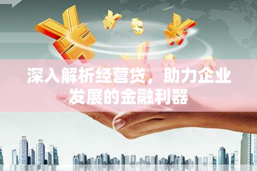 灌云深入解析经营贷，助力企业发展的金融利器