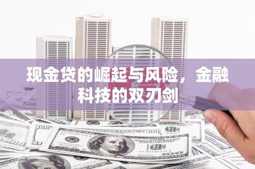 灌云现金贷的崛起与风险，金融科技的双刃剑