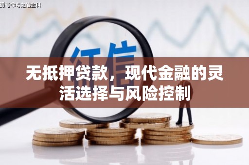 灌云无抵押贷款，现代金融的灵活选择与风险控制