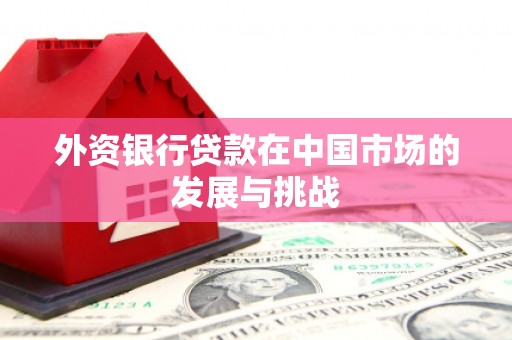 灌云外资银行贷款在中国市场的发展与挑战