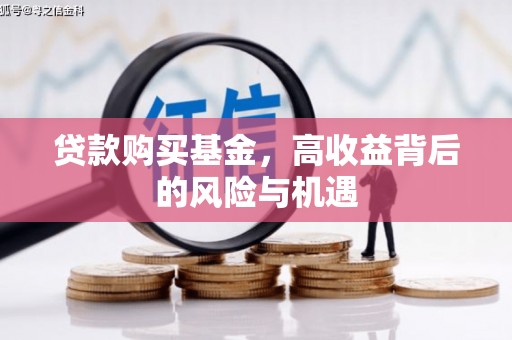 灌云贷款购买基金，高收益背后的风险与机遇