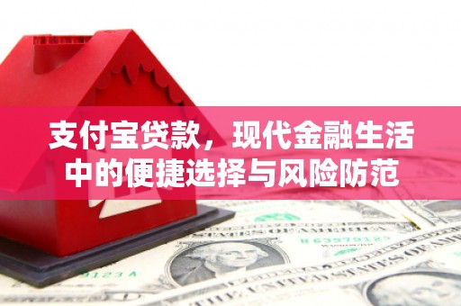 灌云支付宝贷款，现代金融生活中的便捷选择与风险防范