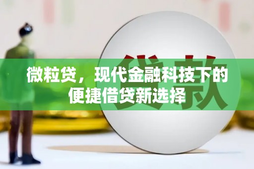 灌云微粒贷，现代金融科技下的便捷借贷新选择