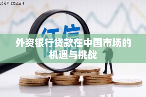 灌云外资银行贷款在中国市场的机遇与挑战