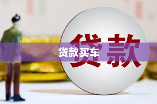 灌云贷款买车