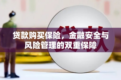 灌云贷款购买保险，金融安全与风险管理的双重保障