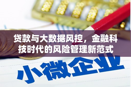 灌云贷款与大数据风控，金融科技时代的风险管理新范式