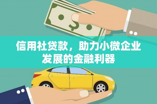 灌云信用社贷款，助力小微企业发展的金融利器