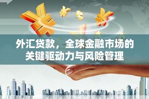 灌云外汇贷款，全球金融市场的关键驱动力与风险管理