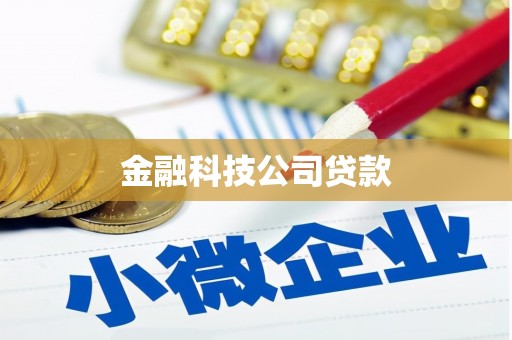 灌云金融科技公司贷款