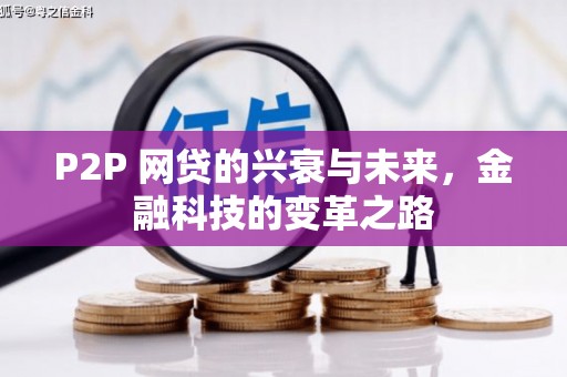 灌云P2P 网贷的兴衰与未来，金融科技的变革之路